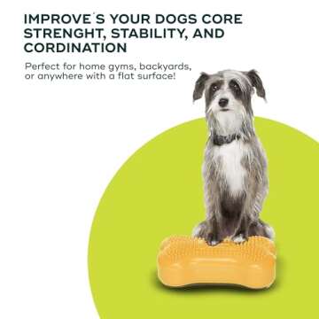 FitPAWS K9FITbone Mini - Enhance Dog Strength & Balance