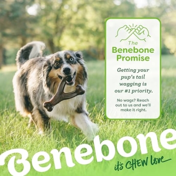 Benebone Wishbone Chew Toy - Durable & Tasty