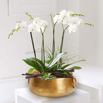 Gold Iron Handi Bowl Traditional Indian Home Decor Centerpiece