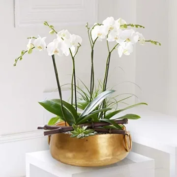 Gold Iron Handi Bowl Traditional Indian Home Decor Centerpiece