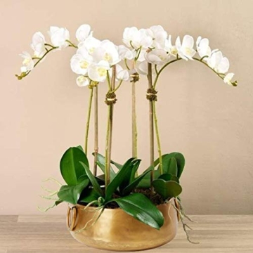 Gold Iron Handi Bowl Traditional Indian Home Decor Centerpiece