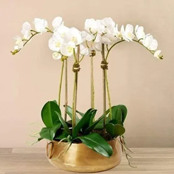 Gold Iron Handi Bowl Traditional Indian Home Decor Centerpiece