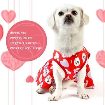 cyeollo Valentines Day Dog Dress for Small Dogs Holiday Theme Outfit XXOO Pet Clothes Heart Pattern Chiffon Skirt Girl Dog Dresses Female