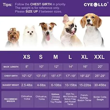 cyeollo Valentines Day Dog Dress for Small Dogs Holiday Theme Outfit XXOO Pet Clothes Heart Pattern Chiffon Skirt Girl Dog Dresses Female
