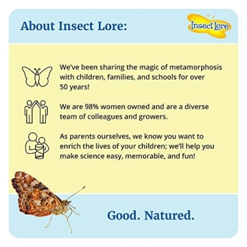 Insect Lore Butterfly Garden Kit | Live Caterpillars | STEM Learning