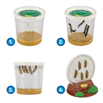 Insect Lore Butterfly Garden Kit | Live Caterpillars | STEM Learning