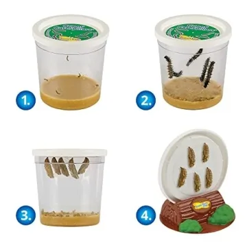 Insect Lore Butterfly Garden Kit | Live Caterpillars | STEM Learning