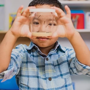 Insect Lore Butterfly Garden Kit | Live Caterpillars | STEM Learning