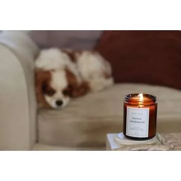 All-Natural Jasmine Sandalwood Candle Safe for Pets