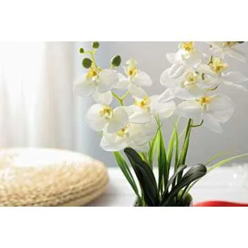 Hugo Décor 14 Inch White Artificial Orchid for Home