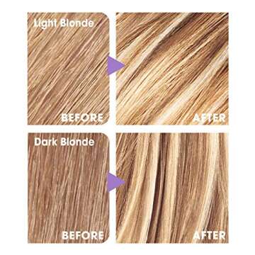 L'Oreal Paris Frost and Design Cap Hair Highlights For Long Hair, H85 Champagne, 1 kit