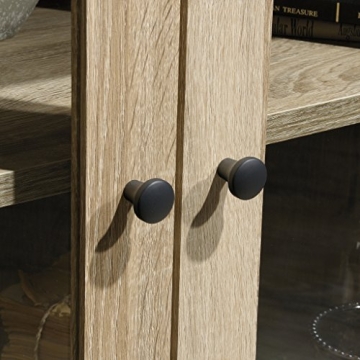 Sauder 420035 North Avenue Display Cabinet, For TVs up to 32", Charter Oak finish