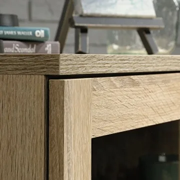 Sauder 420035 North Avenue Display Cabinet, For TVs up to 32", Charter Oak finish