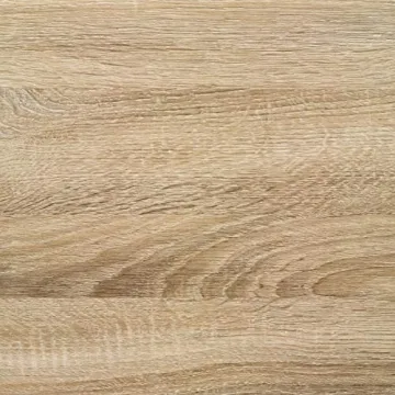 Sauder 420035 North Avenue Display Cabinet, For TVs up to 32", Charter Oak finish