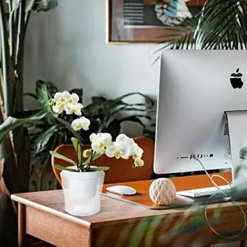 MNKNENG 12 Pack Self Watering Pots for Indoor Plants 4.3 Inch Small Self-Watering Planter Pots with Water Level Indicator, Clear Plastic Round Plant Pots for Succulent, Flower, Herb,Office Home Decor