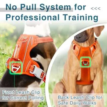 BARKBAY Dog Harness No Pull with ID Tag Pocket - Heavy Duty, Reflective, Easy Control for Large Dogs (Orange,M)