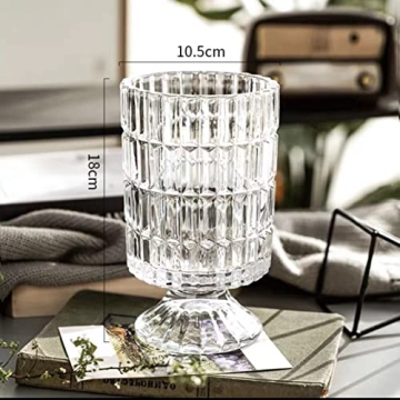 Elegant Glass Vase for Home Decoration and Gifting