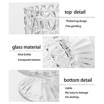 Elegant Glass Vase for Home Decoration and Gifting