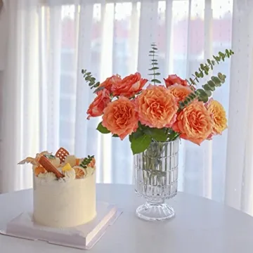 Elegant Glass Vase for Home Decoration and Gifting