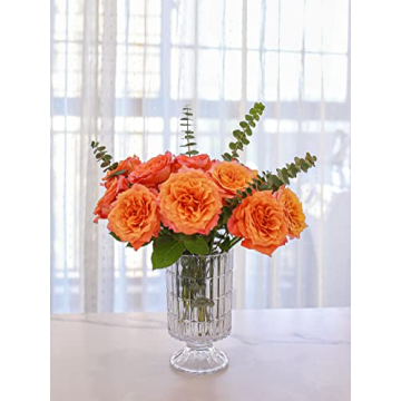 Elegant Glass Vase for Home Decoration and Gifting
