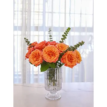 Elegant Glass Vase for Home Decoration and Gifting