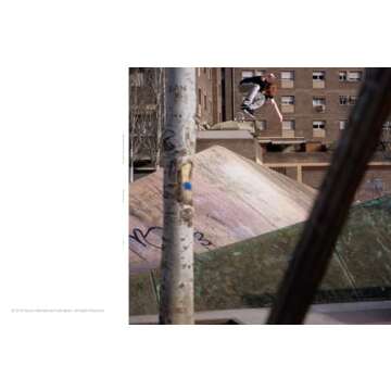 Nike SB: The Dunk Book