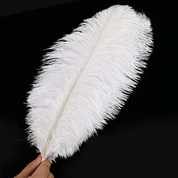 Soarer White Ostrich Feathers Bulk for All Craft Needs