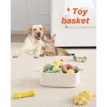 Small Woven Basket, 12 x 8 x 4.5 Inches, Small Storage Baskets for Organizing, Gift Baskets Empty, Cute Small Rope Shelf Closet Storage Bins Baskets for Shelves, Dog Toy Basket, 3 Packs, Off White