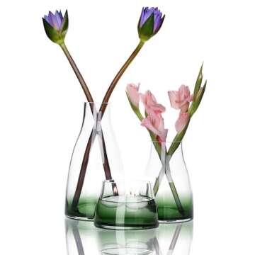 Stylish CONVIVA Glass Vase Set for Modern Home Decor