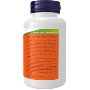 NOW Foods Ginkgo Biloba 120 mg Double Strength Veg Capsules