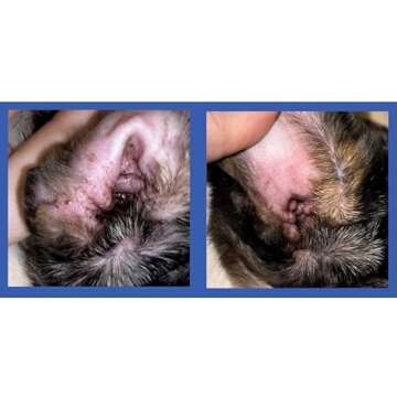 Squishface Dog Ear Relief Individual Finger Sheath Wipes – Non-Allergenic Ingredients & Irritation-Reducing Formula Cleans & Deodorizes, Helps Prevent Ear Itch & Odor – for All Breeds! (50 Count)