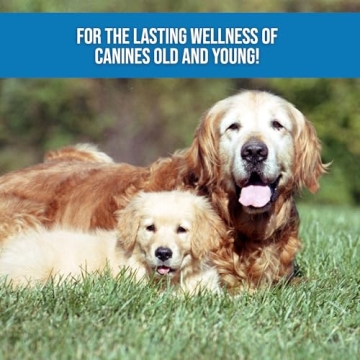 Hemp Dog Health Salve for Skin Relief and Healthy Growth