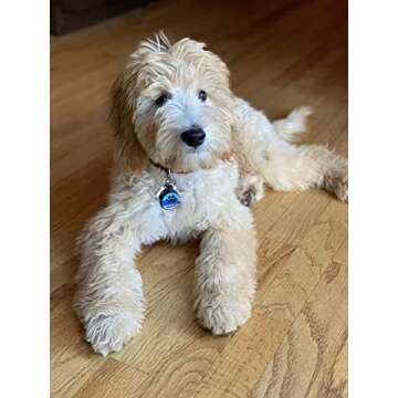 LYP Original Soundless Pet Id Tags | Custom Dog Tags Personalized for Pets | Durable Silicone Deep Engraved Dog Tag | No More Jingling | Blue Paw