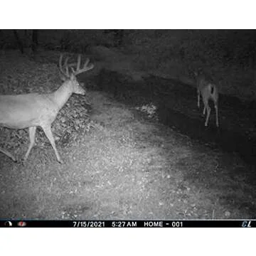 Cuddeback 3 Long Range IR Cameras with 16GB SD Cards