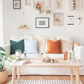 MONDAY MOOSE Decorative Velvet Pillow Covers Set of 4