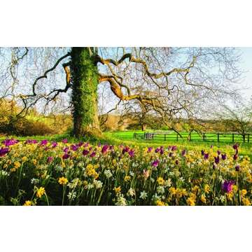 Martha Stewart’s Gardening Handbook: Your Guide to Growing