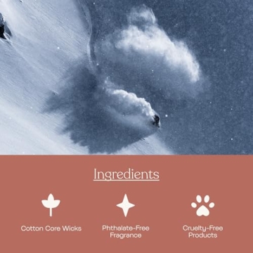 Anecdote 'Apres Ski' Coconut Soy Candle - 9 Oz