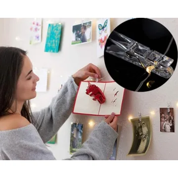 33Ft Photo Clip Fairy Lights for Bedroom and Weddings