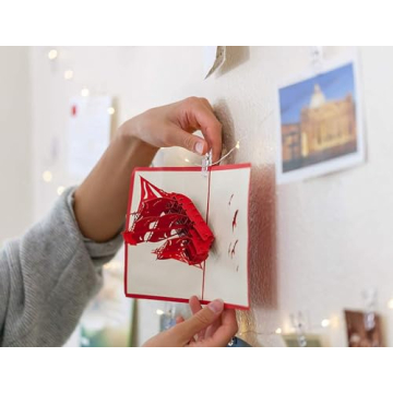 33Ft Photo Clip Fairy Lights for Bedroom and Weddings