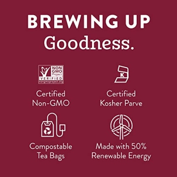 Stash Tea Fall Variety Pack 6 Seasonal Flavors Sampler