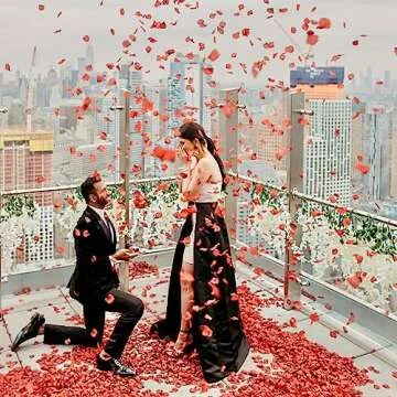 JUPOZOP 1000 PCS Artificial Fake Rose Petals for Wedding, Flower Petals, Romantic Night for Her/Him Set, Engagement, Flower Decorations, Event, Party, in Bulk（Red Rose Petals）