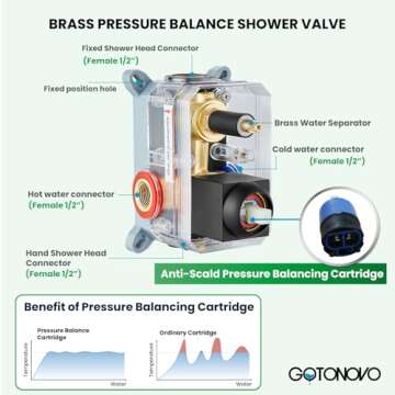 gotonovo Rainfall Shower System 12 Inch Matte Black