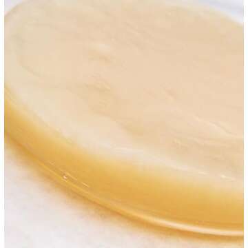 Kombucha scoby and starter liquid