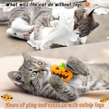 MALLMALL6 Catnip Toys for Cat - 5Pcs Halloween Pumpkin Jack O Lantern Catmint Interactive Cat Toy for Indoor Cats, Soft Orange Cat Supplies, Kitten Teething Chew Toy Set, Pet Gifts for Cat Lover
