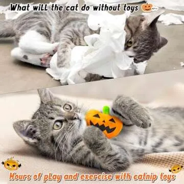 MALLMALL6 Catnip Toys for Cat - 5Pcs Halloween Pumpkin Jack O Lantern Catmint Interactive Cat Toy for Indoor Cats, Soft Orange Cat Supplies, Kitten Teething Chew Toy Set, Pet Gifts for Cat Lover