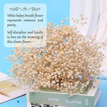 Dried Babys Breath Flowers Bouquet-17 Inch 2500+ Ivory White Dry Flowers, Natural Gypsophila Branche...