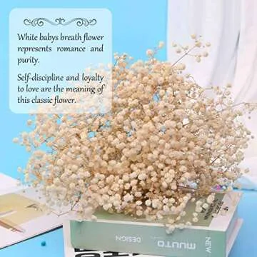 Dried Babys Breath Flowers Bouquet-17 Inch 2500+ Ivory White Dry Flowers, Natural Gypsophila Branche...