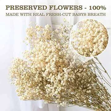 Dried Babys Breath Flowers Bouquet-17 Inch 2500+ Ivory White Dry Flowers, Natural Gypsophila Branches for Wedding, Table Vase Decor, DIY Wreath Floral, Home Office Party Garden Decoration (3oz)