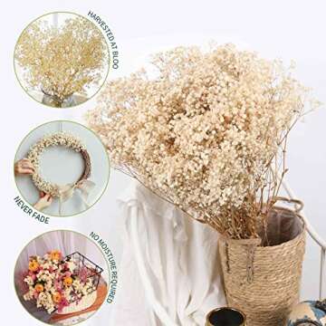 Dried Babys Breath Flowers Bouquet-17 Inch 2500+ Ivory White Dry Flowers, Natural Gypsophila Branches for Wedding, Table Vase Decor, DIY Wreath Floral, Home Office Party Garden Decoration (3oz)
