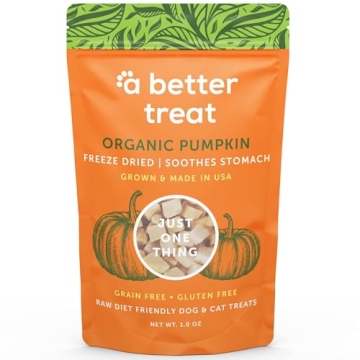 Freeze Dried Organic Pumpkin Dog and Cat Treats Made in USA